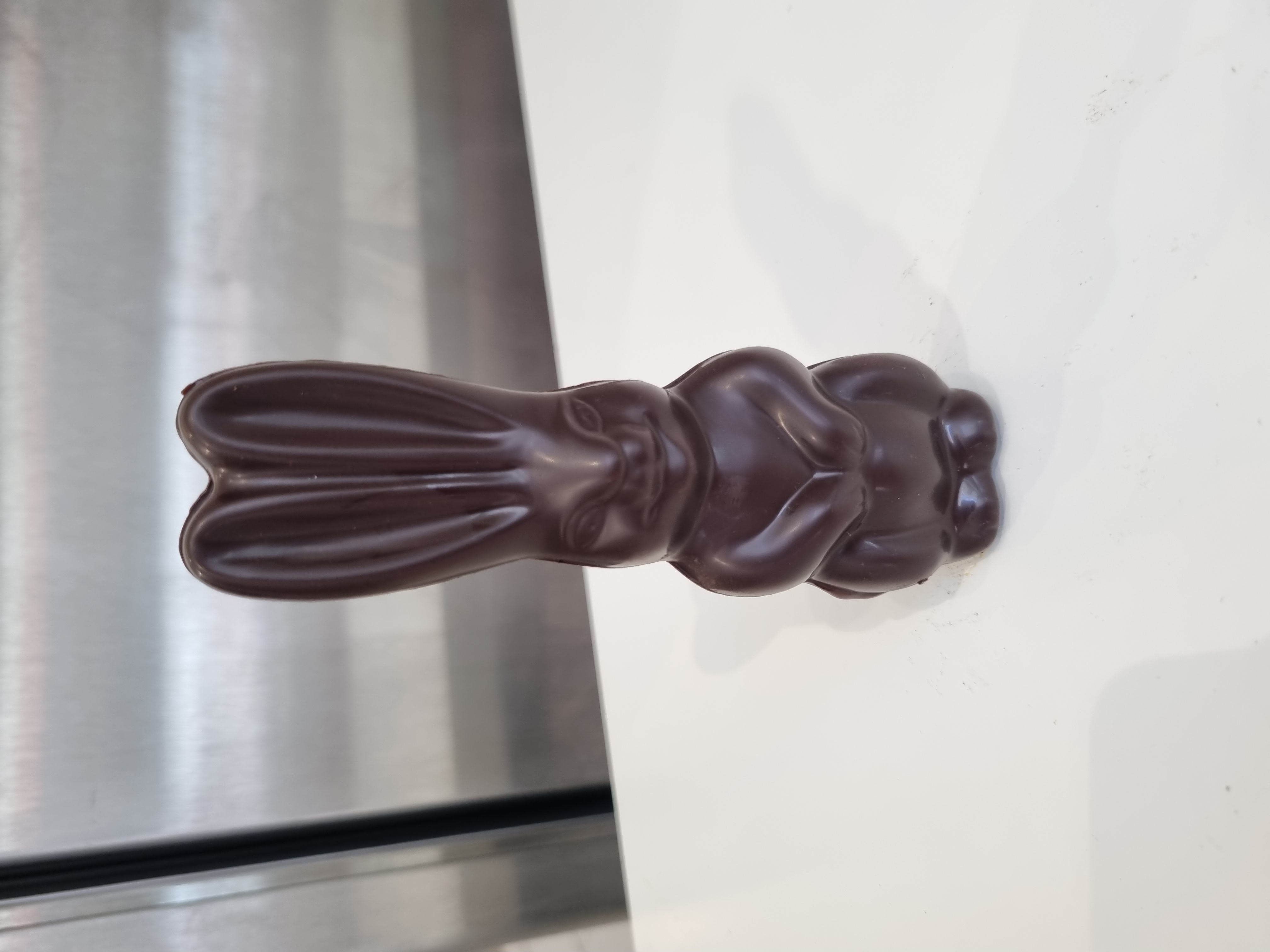 Petit lapin rieur