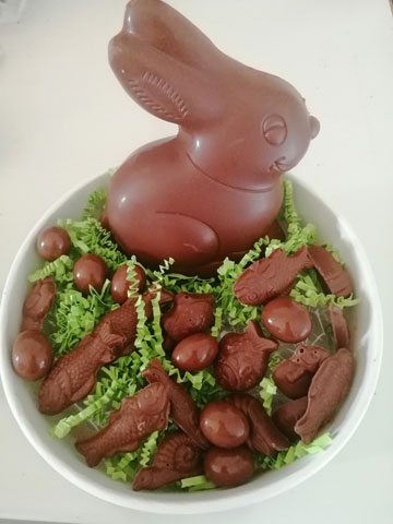 Compo lapin